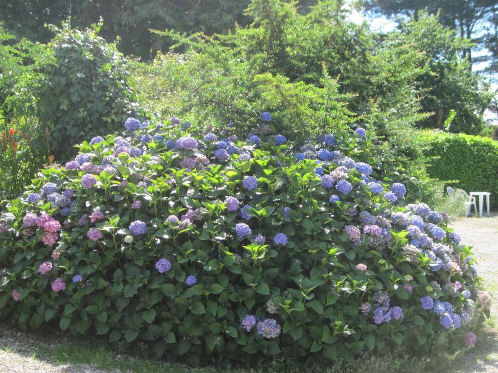 Le Relais De Porz Morvan Plomodiern Luaran gambar